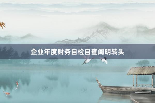 企业年度财务自检自查阐明转头